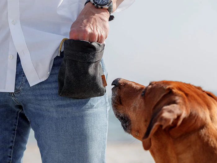 Snacktaschen für Hunde
